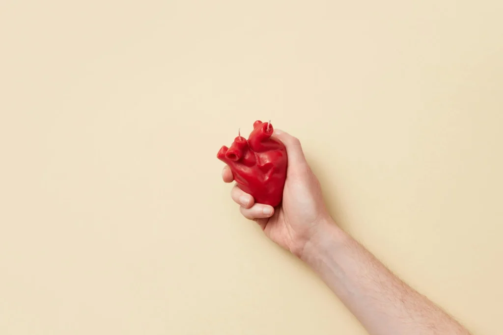 person holding model of heart - heart disease treatment