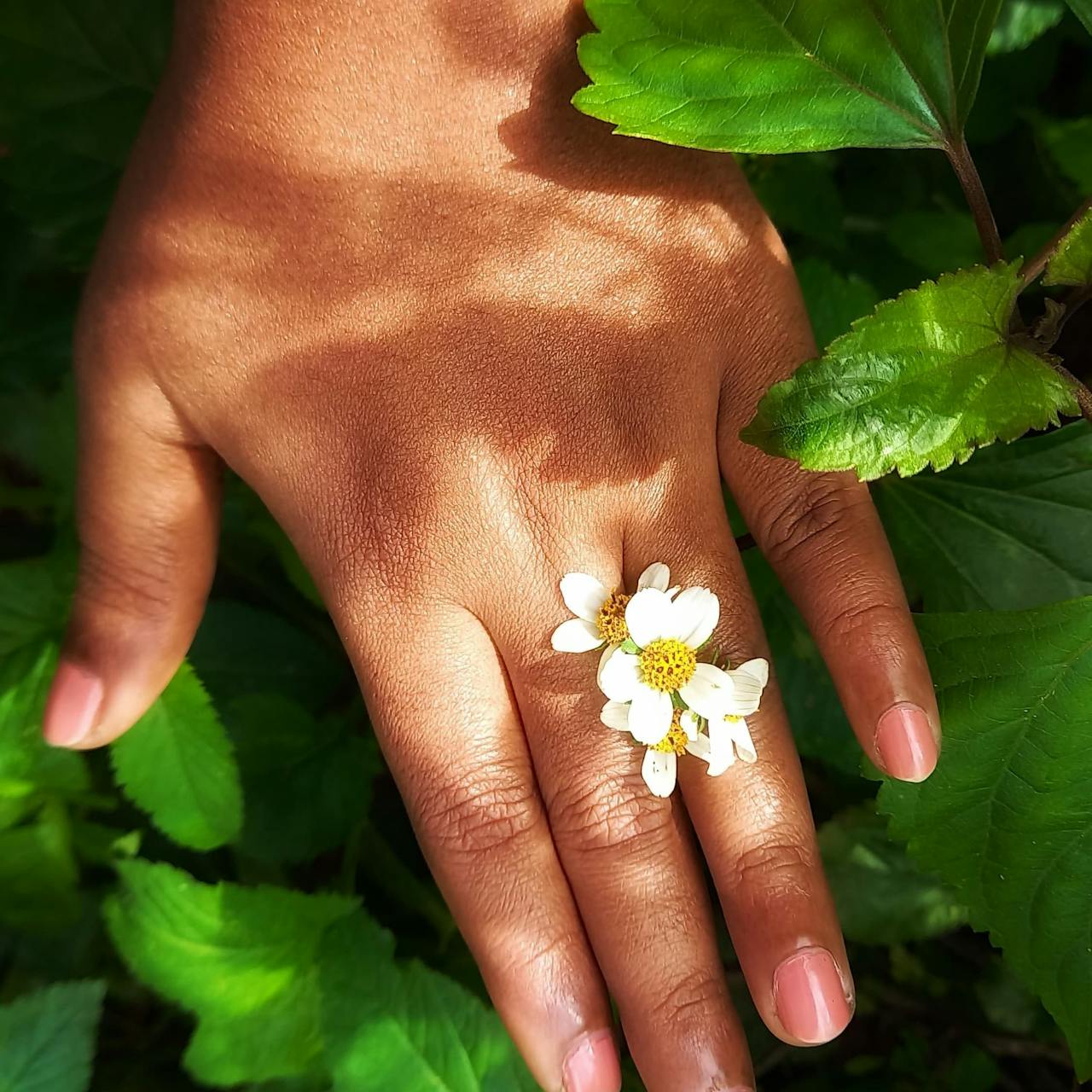 hand with flowers on top - Seborrheic Keratosis Removal