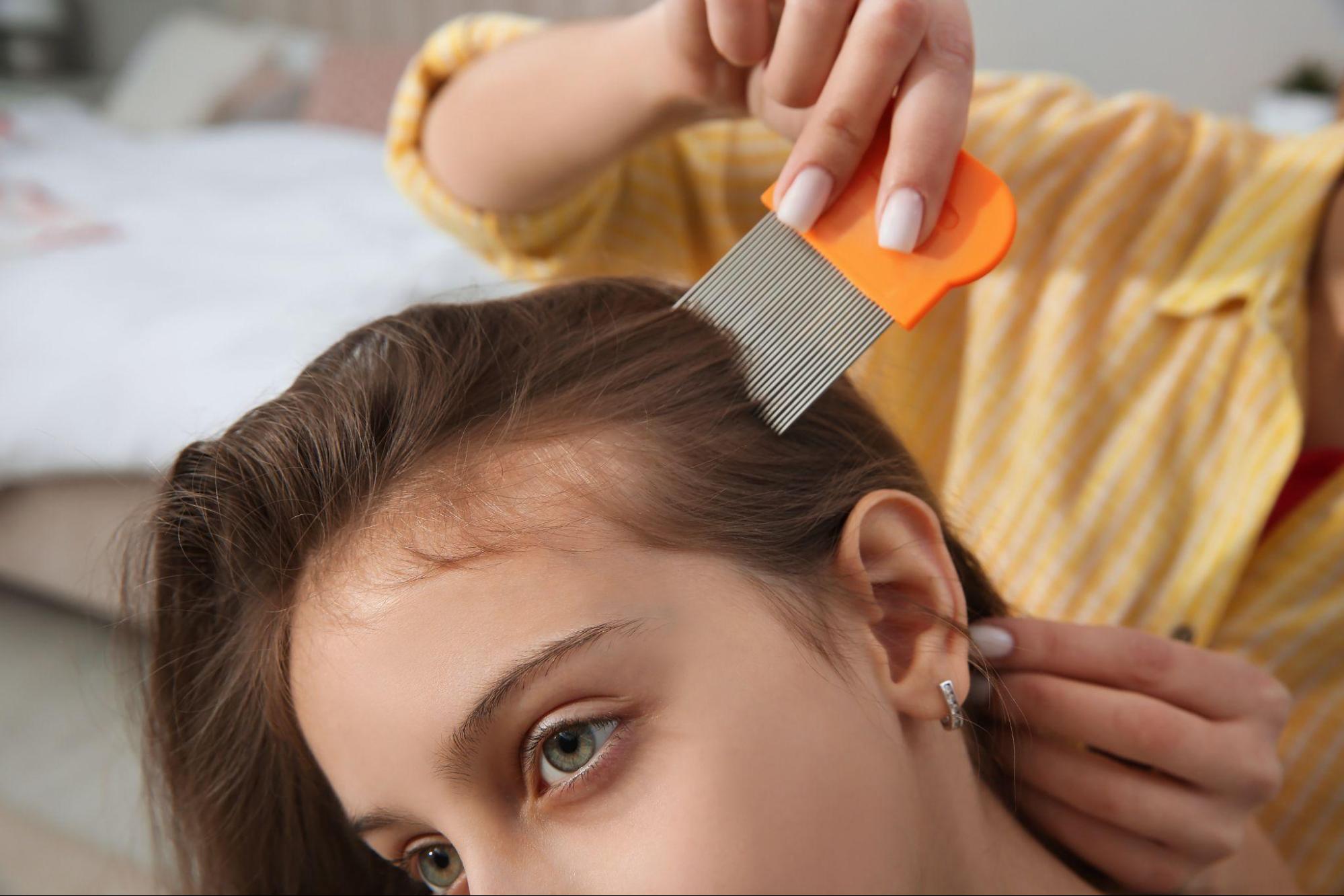 Fine-toothed lice comb being used for lice eggs removal by carefully combing through hair near the scalp.