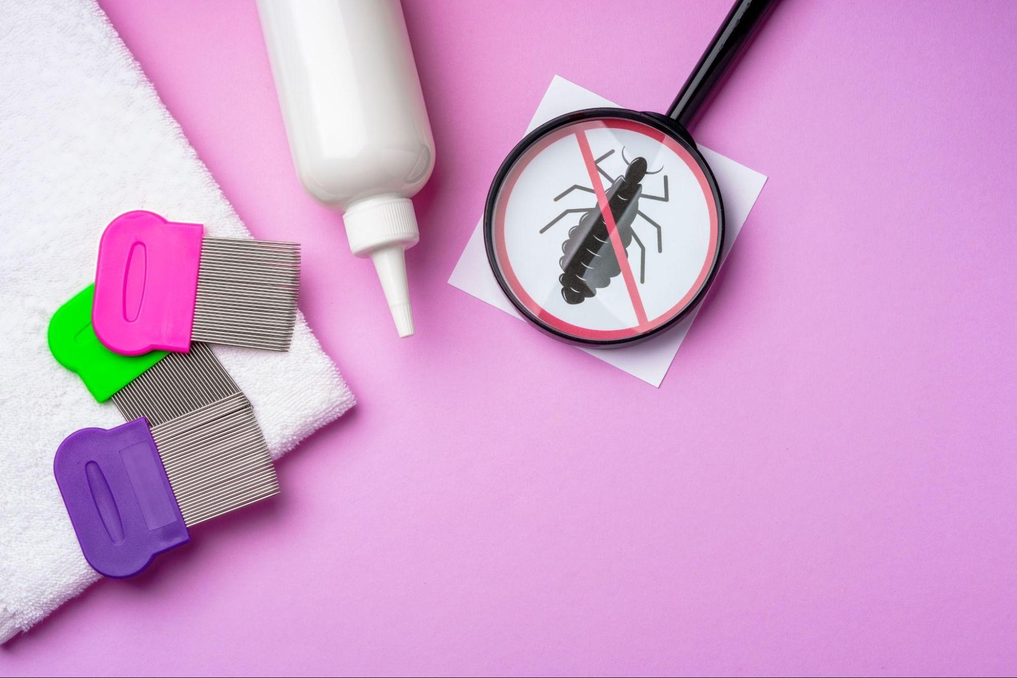 Lice treatment supplies with fine-toothed combs and a magnifying glass for safe lice eggs removal at home.