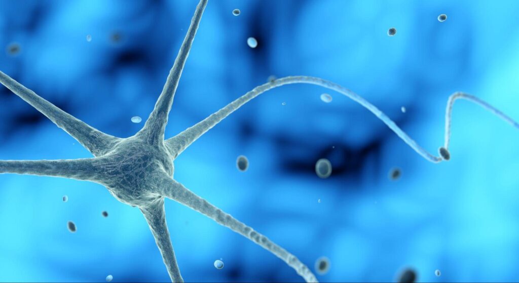 Neuron illustration showing connections between brain cells and changes in neural pathways.