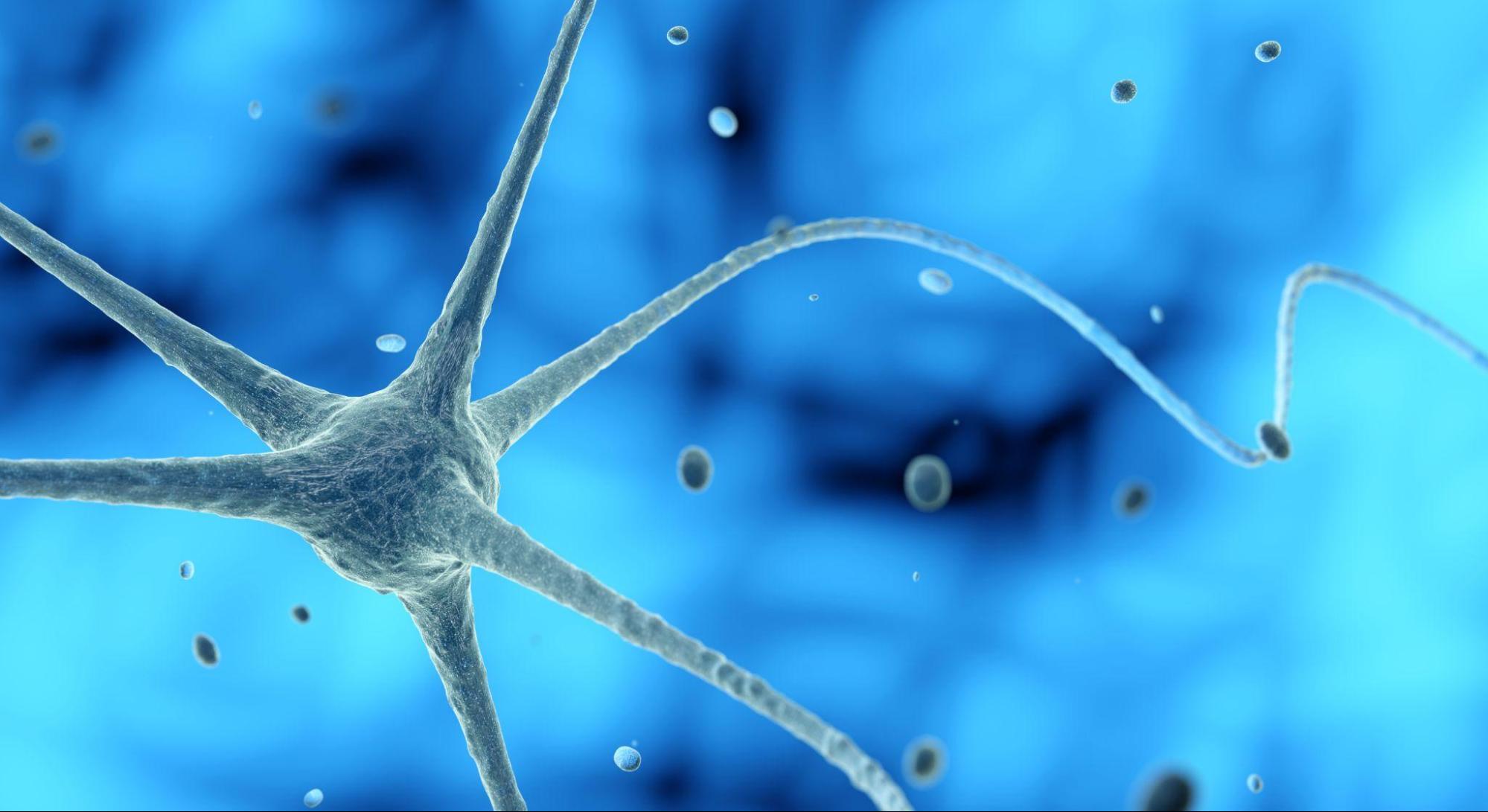 Ketamine Neuroplasticity Treatment: How It May Support the Brain's Ability to Adapt